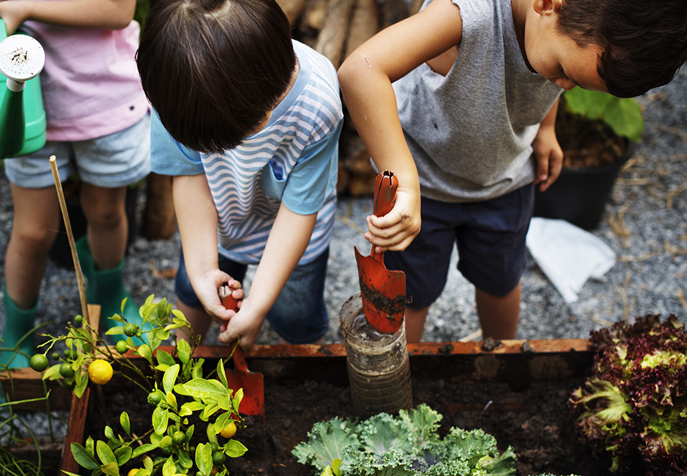 Gardening & Outdoor Play Encourage Social Skills